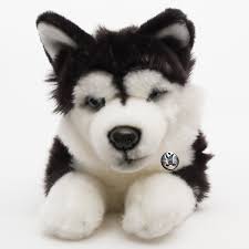 Bei problemen sollte man sich an einen erfahrenen ausbilder seines. Kuscheltiere Biz Die Welt Der Kuscheltiere Husky Yukon Schlittenhund Schwarz Weiss Liegend Kuscheltier 30 Cm