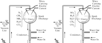 A zucchini was peeled and cut into six identical cubes. Https Storage Googleapis Com Wzukusers User 21099924 Documents 5cc65a689c9227nzfuzs Ap 202016biology Pdf