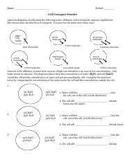 Cell transport refers to the movement of substances across the cell membrane. Cell Transport Practice Name Period Cell Transport Practice Label The Diagrams Of Cells Using The Following Terms Diffusion Active Transport Osmosis Course Hero