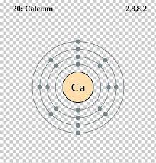 An atom's electron configuration describes the way its electrons fill sublevels when the atom is in its ground state. Electron Shell Calcium Electron Configuration Valence Electron Png Clipart Angle Area Argon Atom Calcium Free Png