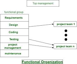 Software Development Organizational Structure Geeksforgeeks