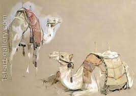 Pin On Camels