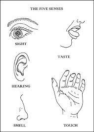 Print the pages of your choice. 5 Senses Coloring Pages Preschool Coloring Pages 5 Senses Worksheet Free Preschool Printables