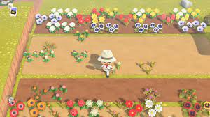 The probability of a flower breeding can be increased for each unique visitor who waters it, up to 5 per day. Animal Crossing New Horizons Community Has Created A Guide To Breeding Every Hybrid Flower In Only A 12 By 12 Plot Happy Gamer