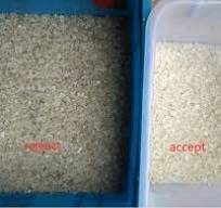 WENYAO Full Color CCD Optical Mini Salt Sorting Machine 2 Chutes Rock Salt  Color Sorter