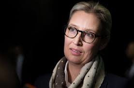 Alice elisabeth weidel ( 6. Alice Weidel Und Der Spendenskandal Staatsanwalt Stellt Afd Liste In Frage Politik Stuttgarter Nachrichten