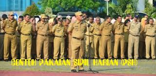 (2) pakaian dinas di lingkungan pemerintah provinsi terdiri dari Perpres Nomor 71 Tahun 2018 Tentang Tata Pakaian Pada Acara Kenegaraan Dan Acara Resmi Pendidikan Kewarganegaraan Pendidikan Kewarganegaraan