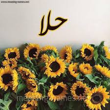 حكم التسمية بـ اسم حلا قاموس الأسماء و المعاني