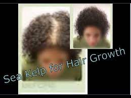 There are at least 30 different kinds of kelp. Sea Kelp Tablets For Fast Natural Hair Growth In 30 Days Youtube