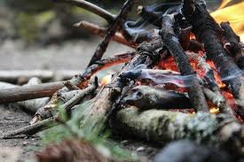 Maybe you would like to learn more about one of these? Campfire Building Tips For Wet Rainy Weather