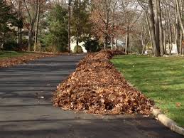 Pile of bright fall leaves make beautiful fall yard decorations. 5 Ways To Put Fall Leaves To Work In Your Garden