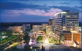 Suburban Office Construction Boom The Woodlands Tx Woodland Woodland Lodges