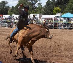 If the rider successfully holds onto the bull for eight seconds, he will get points based on his riding skills and the hurdles faced during the ride by a group of judges. Bull Riding Quick Guide Tutorialspoint
