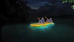 Bioluminescent Beach Puerto Rico Fajardo Bioluminescent Bay Fajardo Puerto Rico Bioluminescent Bay Bioluminescent Bay Puerto Rico Kayaking