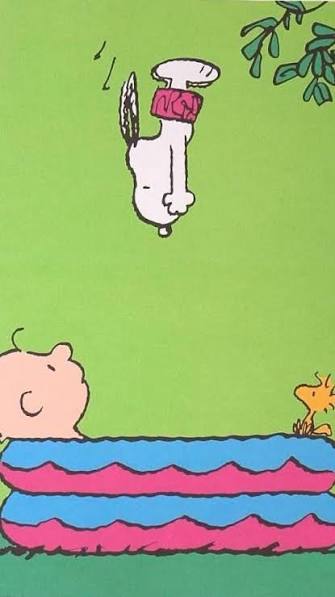 Snoopy Swimming Pool
