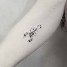 Colorful scorpion and flower on the back. Minimalist Simple Scorpion Tattoo Novocom Top