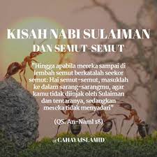 Ia khawatir tentara nabi sulaiman akan menginjak rakyatnya. Cahayaislam Id Kisah Ini Akan Menyajikan Suatu Cerita Pada Zaman Nabi Sulaiman Yang Kaya Raya Dan Dianugerahi Kelebihan Untuk Berkomunikasi Dengan Semua Binatang Yang Ada Di Dunia Ini Salah Satu Kisah Yang