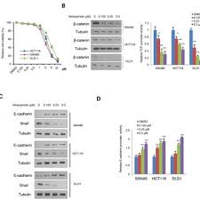 Niclosamide is an anthelmintic, prescribed for worm infections (fish tapeworm, dwarf tapeworm, and beef tapeworm infections). On Target Effects Of Niclosamide In Colon Cancer Cells A Cell Download Scientific Diagram