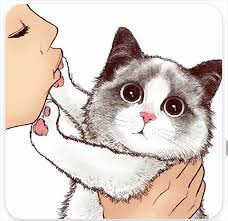 Kedi Cizimleri 2 En Guzel Sozler Ve Mesajlar
