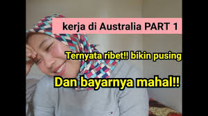 Ingin bekerja sebagai pemetik buah di australia? Kehidupanku Bekerja Di Kebun Aussie 1 By Sleepy Sharen