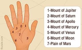 Image result for Moles on palms