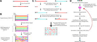 Image result for White 1997 AAV