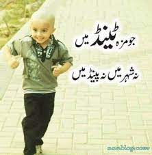 Funny Tind Quote Jo Maza Tind Main New Funny Memes Funny Quotes In Urdu Best Funny Pictures