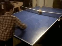 The following 17 users like wingkingai's post: Ping Pong Table Gifs Get The Best Gif On Giphy