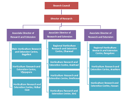 Organizational Structure