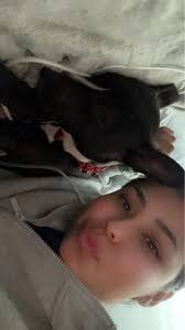 Lost Dog Princess in Tooele Utah Area