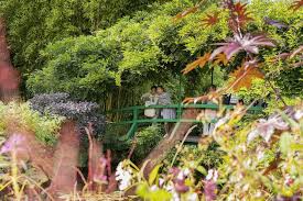 We offer attentive service, a large selection of plant variety (including the largest selection of florida natives of any retail nursery), and plant quality and value unmatched by the big discount chains. Keine Warteschlangen Giverny Und Monets Haus Ab Paris 2021 Tiefpreisgarantie