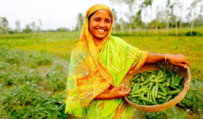 All goals euro 2008 video dailymotion 1/2 tous les buts euro 2008 todos los goles euro 2008 todos os gols euro 2008. International Fund For Agricultural Development