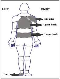 Low back pain is a fact of life. Body Areas Most Affected By Musculoskeletal Pain According To Workers Download Scientific Diagram