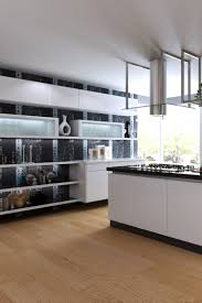 Acrylic Kitchen Cabinet In 2020 Kitchen Cabinets Kitchen Design Best Kitchen Cabinets