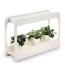Best Grow Lights Reviewed By Succulent Lovers Succulent City Grow Lights For Plants Indoor Herb Garden Herbs Indoors