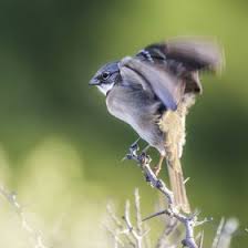 Check spelling or type a new query. Veronica Quercia Veronicaquercia Perfil Pinterest