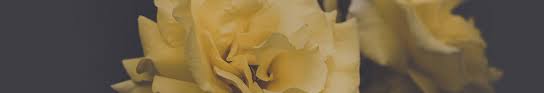 Located at 504 broadway in idaho falls, idaho. Send Flowers Wood Funeral Home Crematory Idaho Falls Id Funeral Home And Cremation