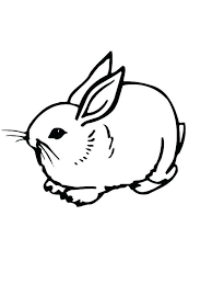Rabbit Coloring Pages For Preschoolers Rabbits Are Small Mammals With Short Smooth Distinctive Bunny Coloring Pages Owl Coloring Pages Animal Coloring Pages