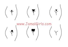 قصات شعر لمنطقة العانة او الفرج جمال الفتيات Jamal Girls