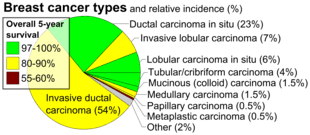 It is not clear why testicular cancers release these markers. Breast Cancer Classification Wikipedia