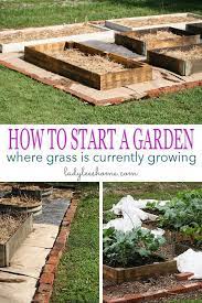 How To Start A Raised Garden Over Grass Home Vegetable Garden Starting A Garden Gardening For Beginners