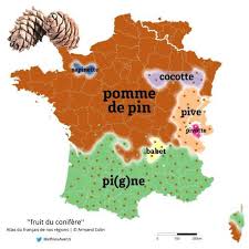 Dialectal Variations Of Pine Cone In France Map Fruit Pine Cones