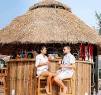 Amazon.com: Pealihuy Fireproof Straw Thatched Tiki Bar Cover ...