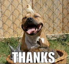 Share the best gifs now >>>. Thank You Meme Funny Collection 2019 Best Betameme