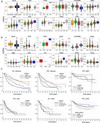 Moonlight was certified platinum by the riaa on october 21, 2019. Machine Learning Identifies Stemness Features Associated With Oncogenic Dedifferentiation Sciencedirect