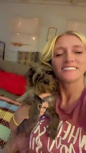 Found underweight male chocolate lab puppy in Texas City