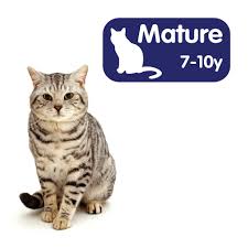 Nevertheless, a number of studies have investigated the matter and have come up with noteworthy estimates. Mature 7 10years Cat Care For Life