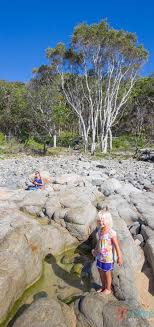 10 Attractive Beaches In Australia To Spend Your Vacation Noosa Main Beach Sunshine Coast Travel Sunshine Coast Family Holiday Destinations