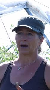 Learn about companion planting with Farmer Shaun! 🐝 #farmeducation  #urbanfarming #morristownnj #growitgreen #companionplanting #smallfarm