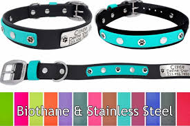 If you're having trouble deciding where to measure, feel for her shoulders. Biothane Multi Color Collar Collars By Kitt